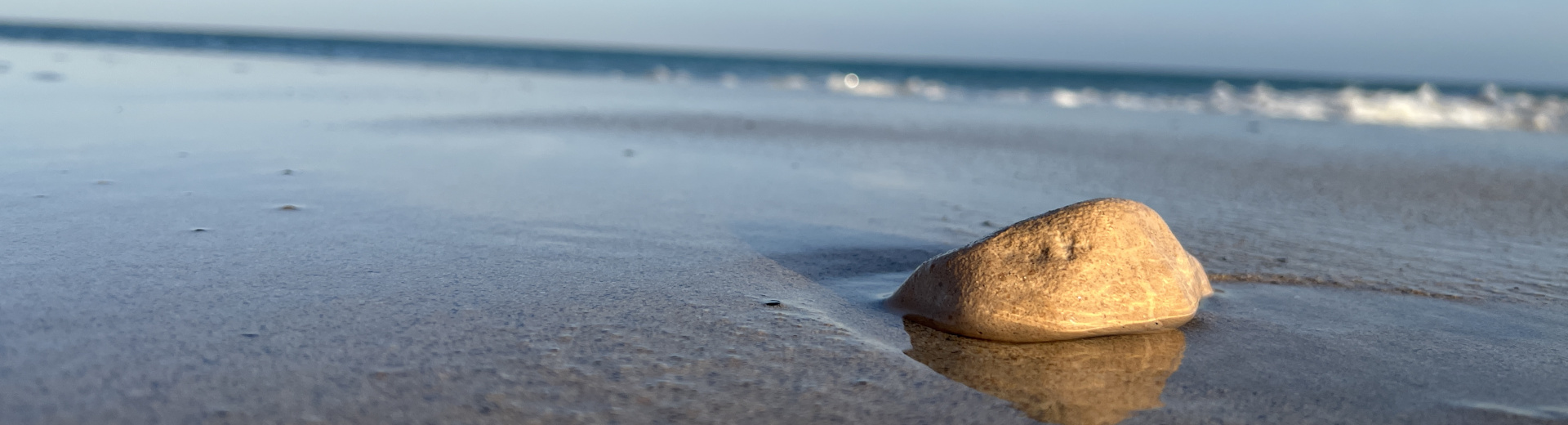 Headerfoto, Stein am Strand, Fuerteventura